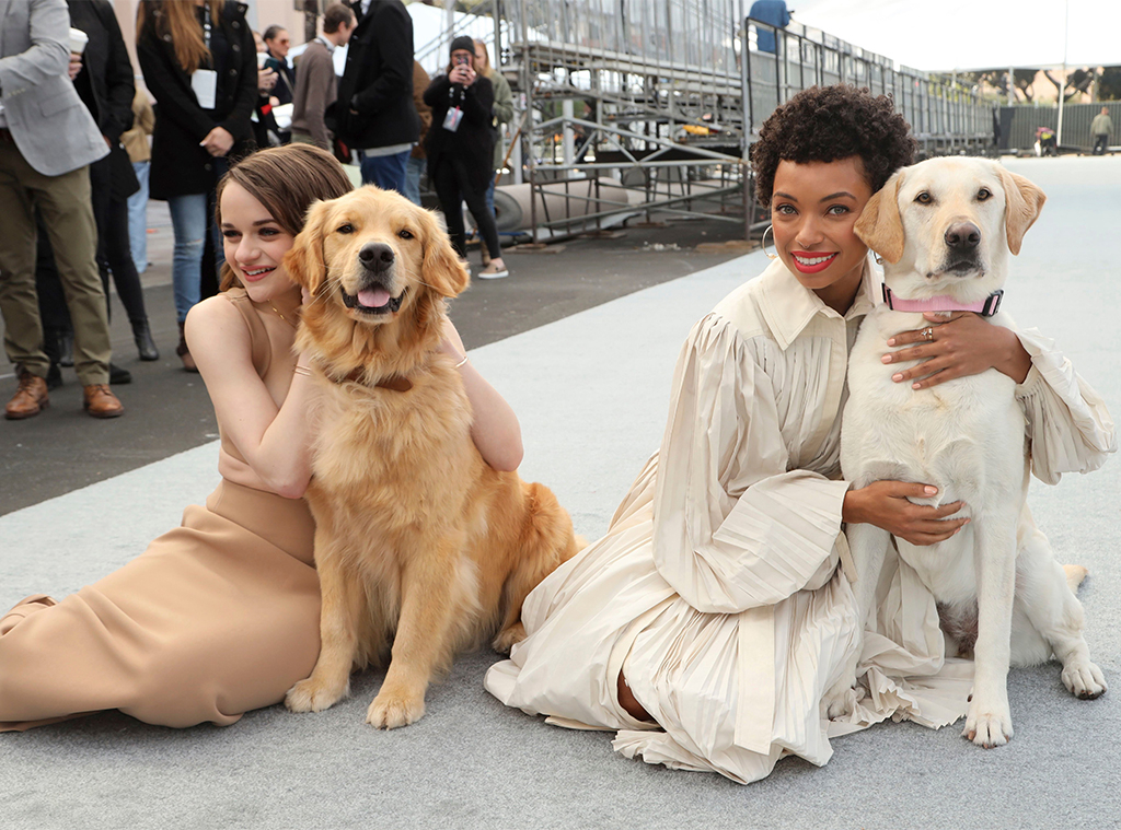 SAG Awards Red Carpet Roll Out, Joey King, Logan Browning, Dogs